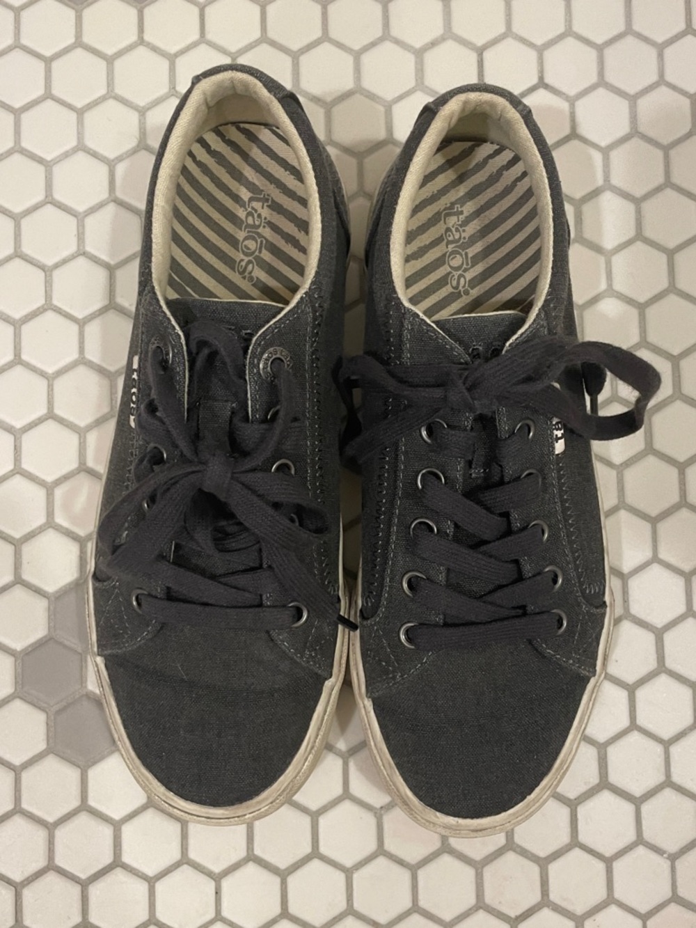 Taos Footwear Dark Grey Canvas Lace-Up Sneakers